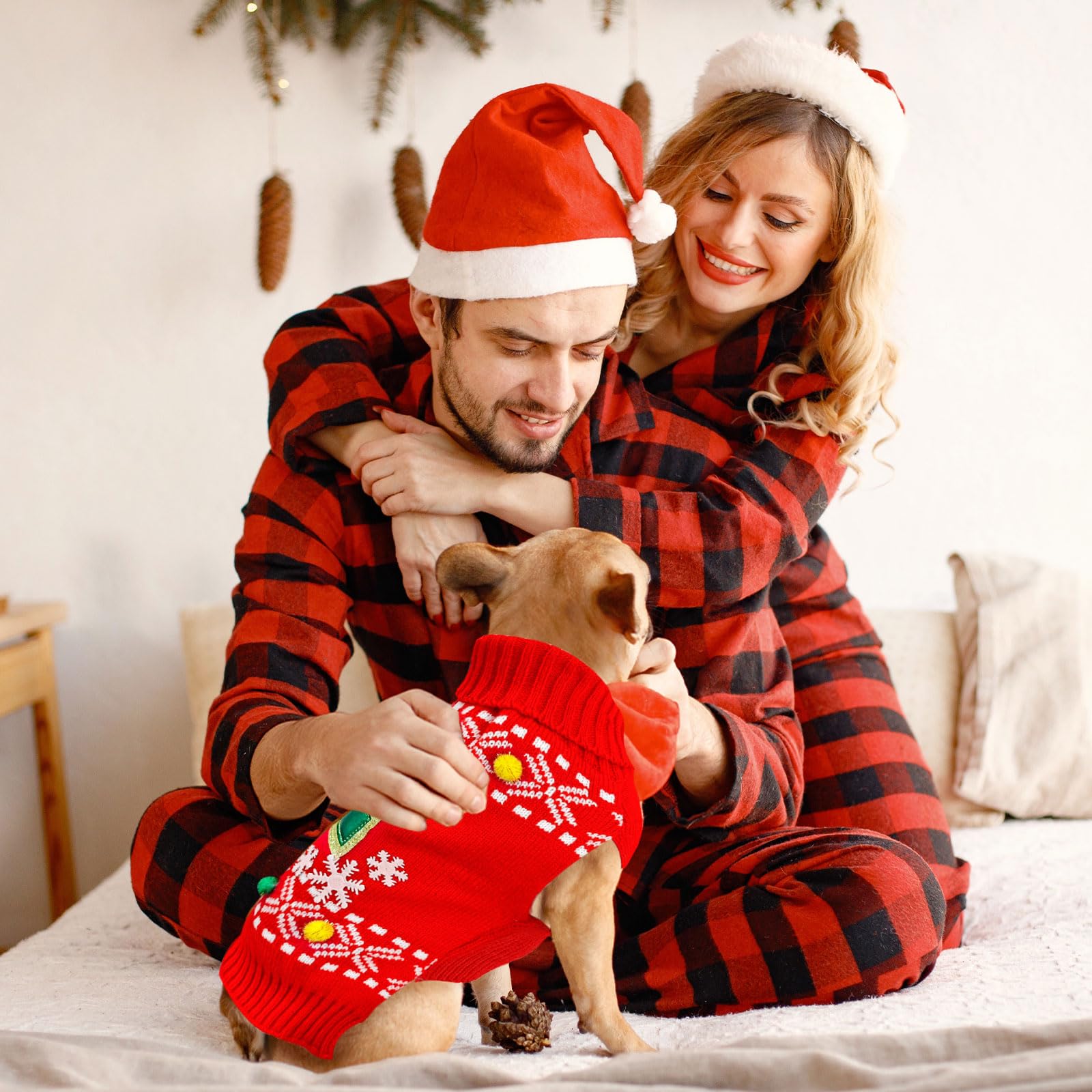 Petcare dog christmas sweater packaging display, ready gift
