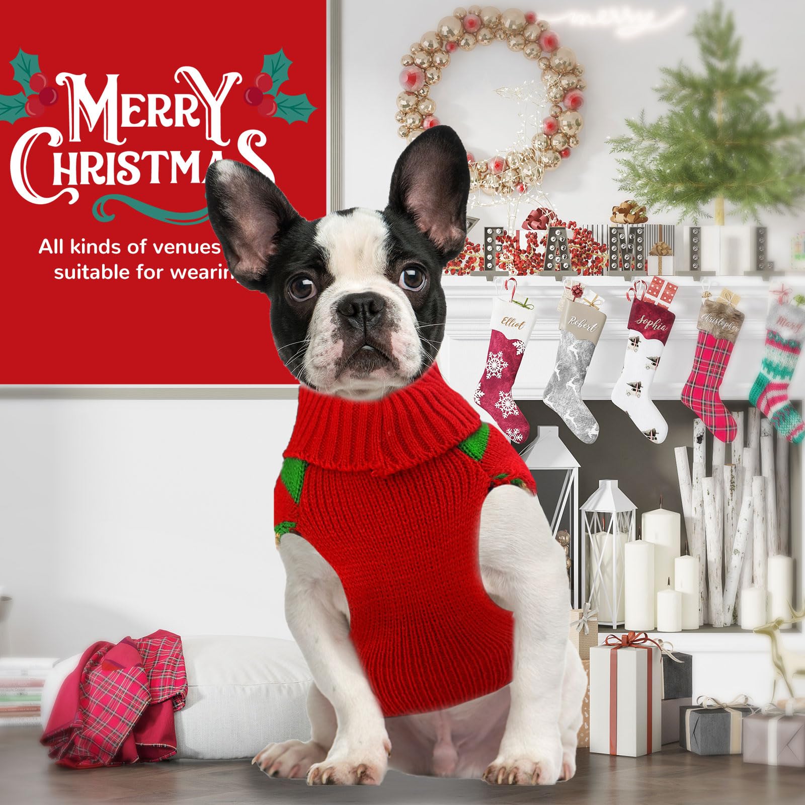 Petcare festive knit ready for parties, walks, and family gatherings
