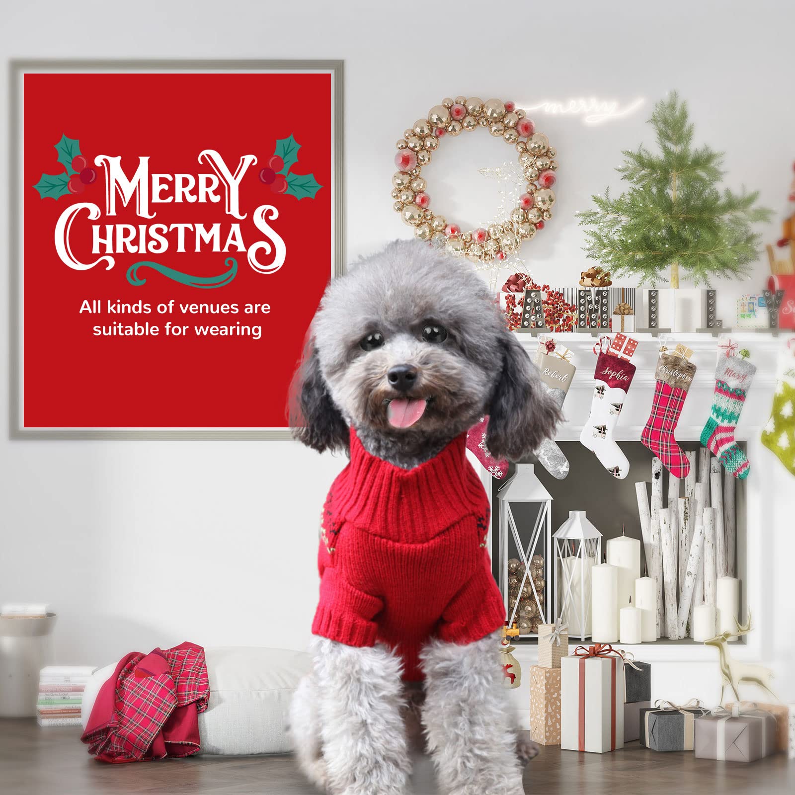 Petcare dog Christmas sweater size range for many breeds
