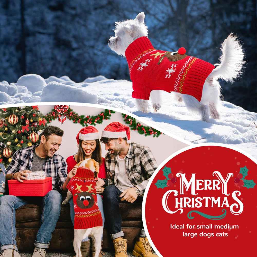 Petcare dog Christmas sweater worn on dog during holiday gathering