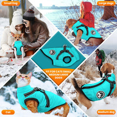Petcare coat with reflective strip for better visibility during night walks.