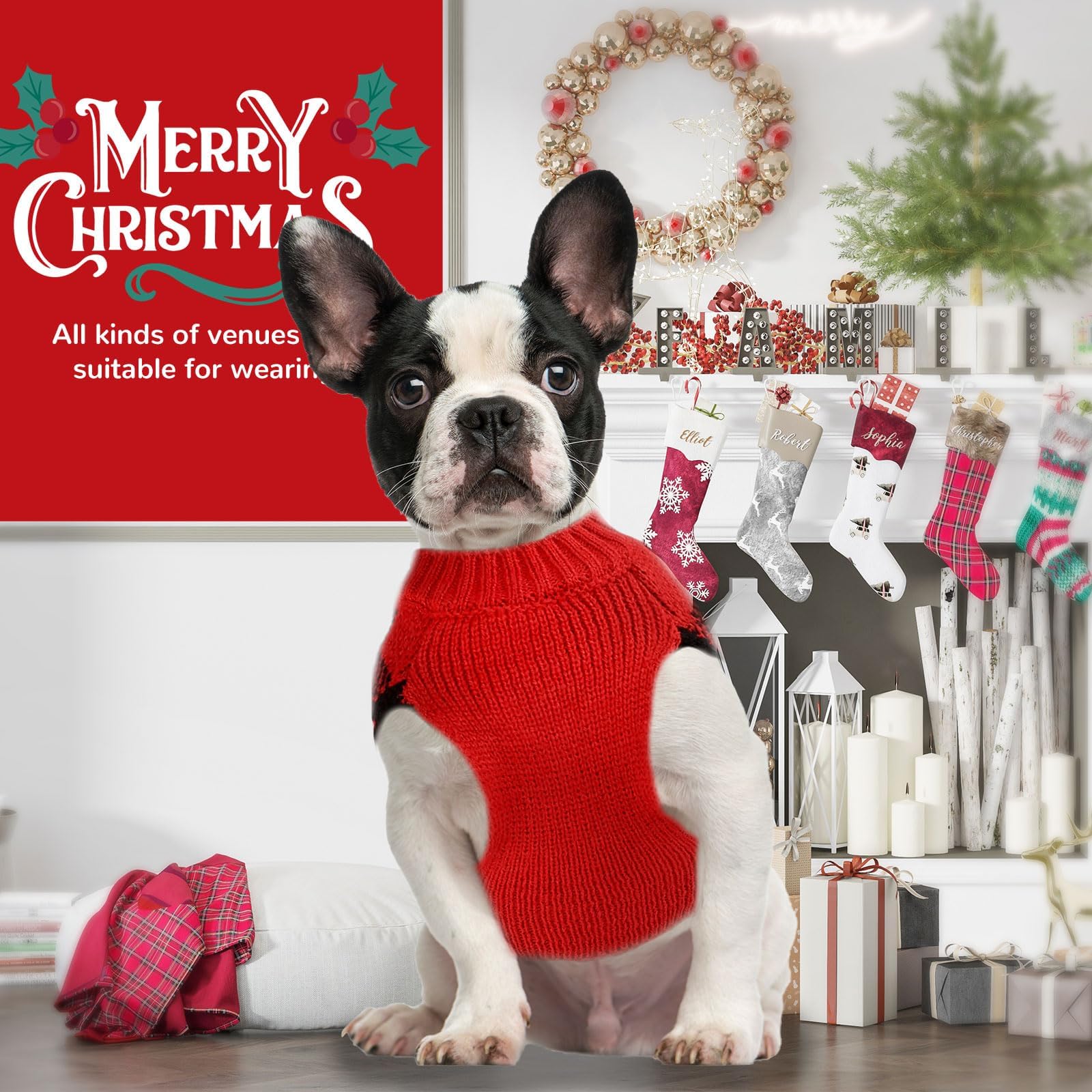 PETCARE Dog Washing Care keeps sweaters clean between outings.