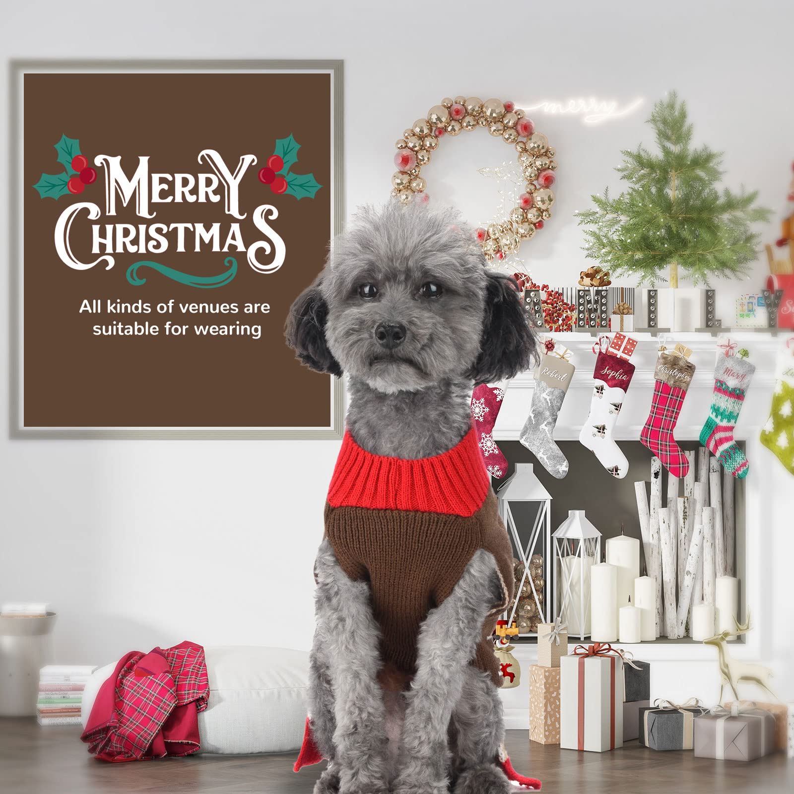 Petcare easy-on-off stretch knit for hassle-free dressing