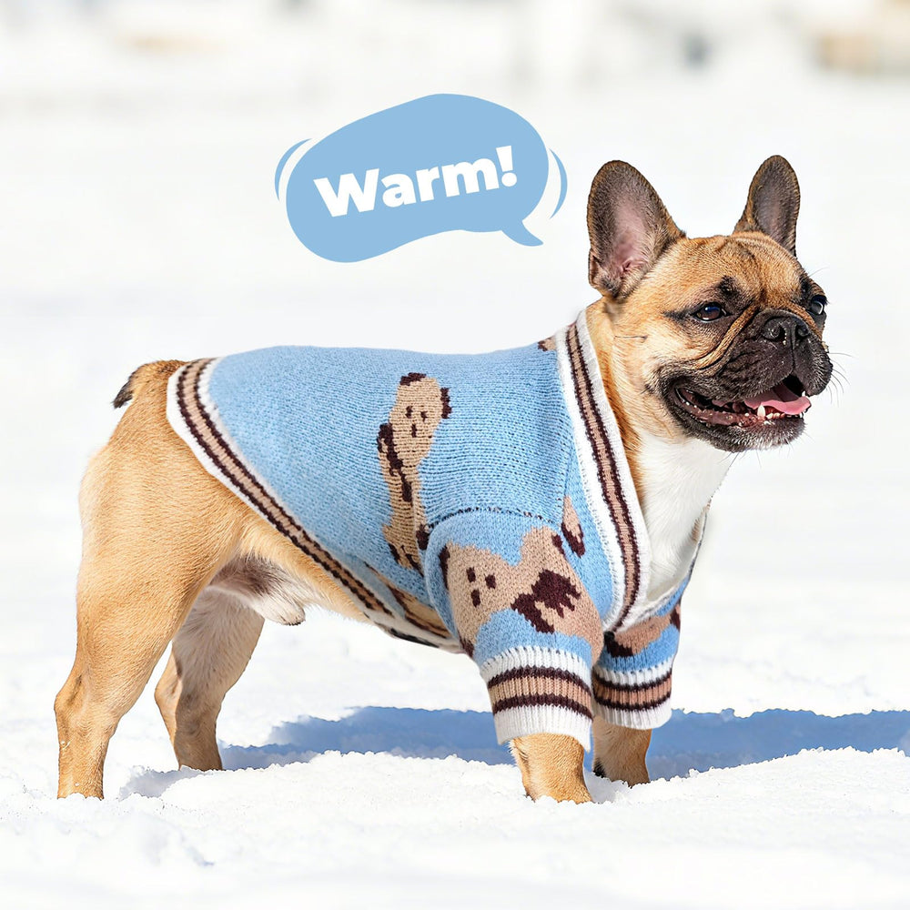 Petcare holiday winter pet sweater, gift-ready and adorable