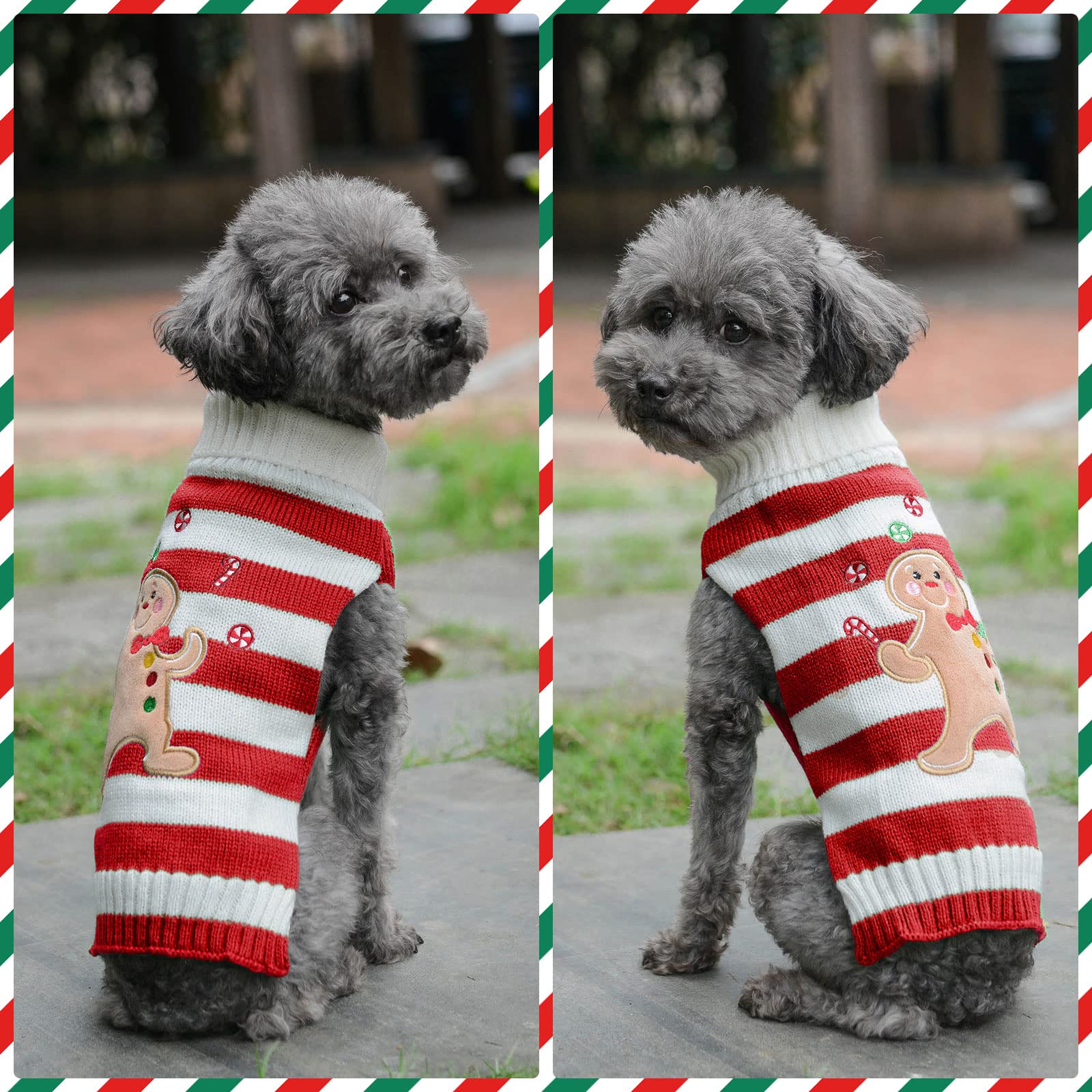 PETCARE machine-washable pet sweater for simple holiday season cleaning.