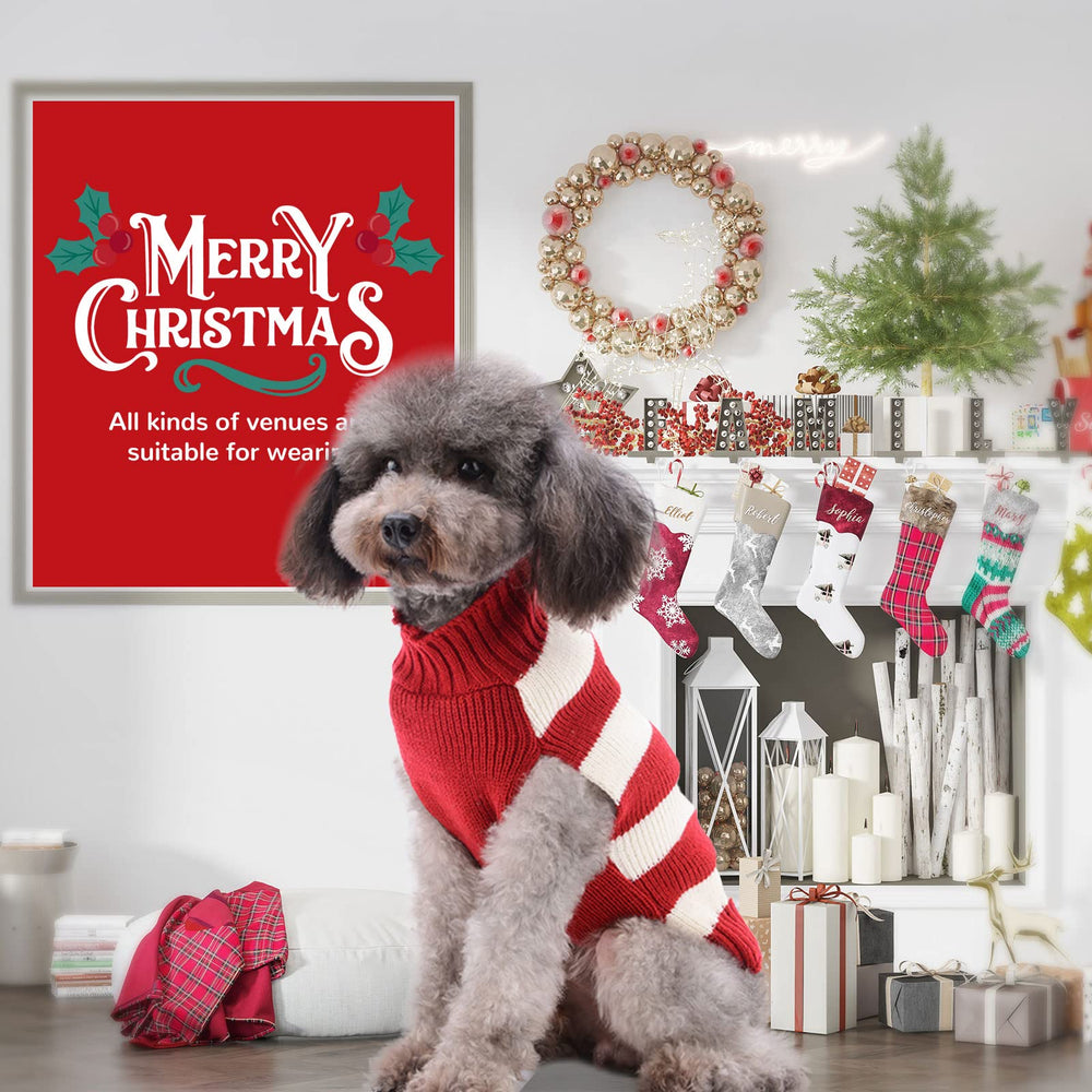 Petcare machine-washable sweater stays clean after holiday wear
