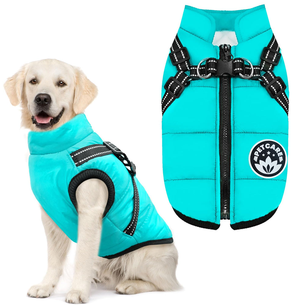 Petcare dog coat for outdoor winter adventures and versatile everyday wear.