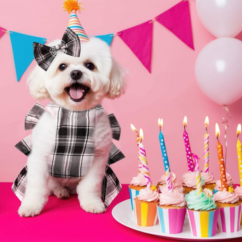 PETCARE puppy outfit suitable for birthdays, travel, and everyday moments