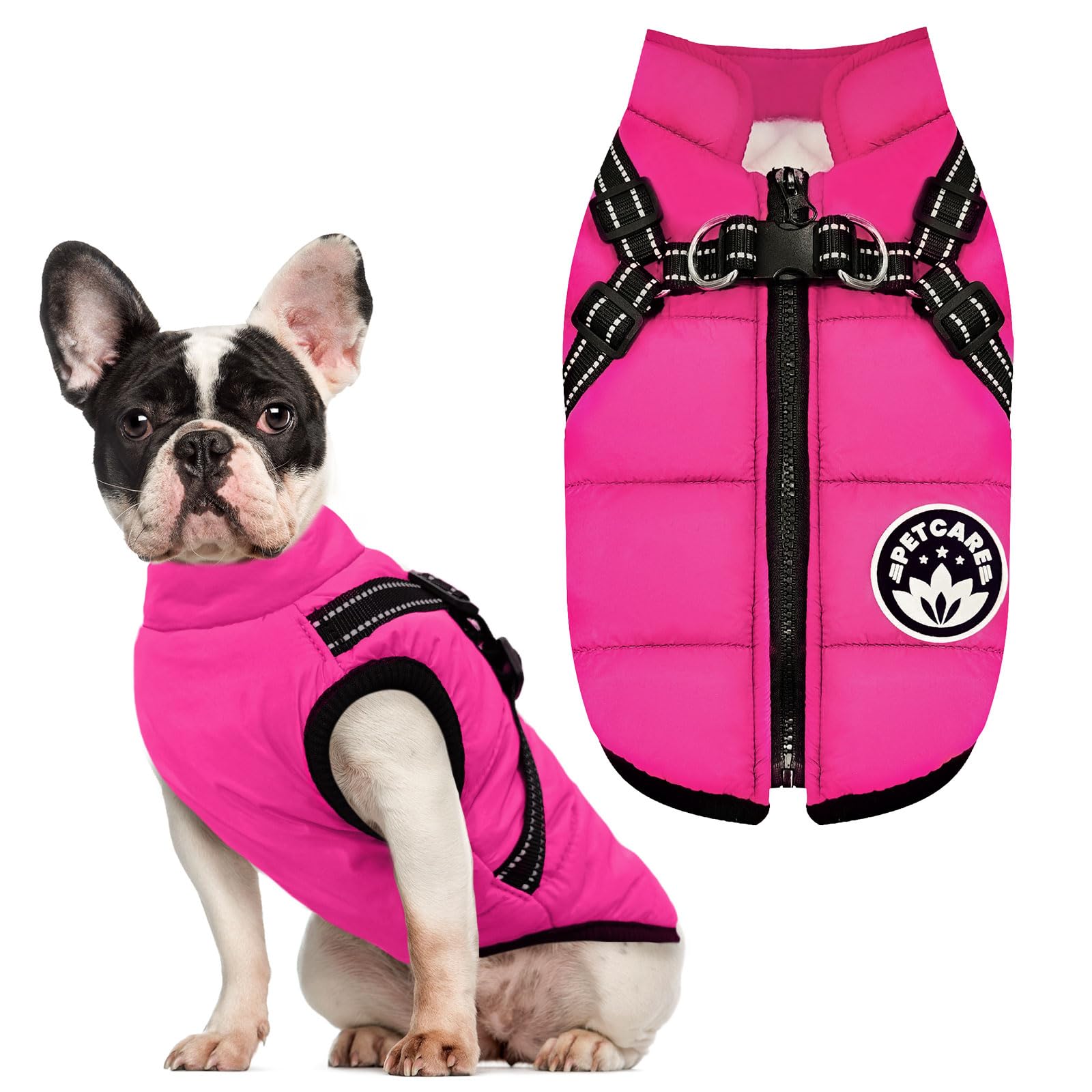 PetCare Reflective design supports nighttime safety during outdoor play.