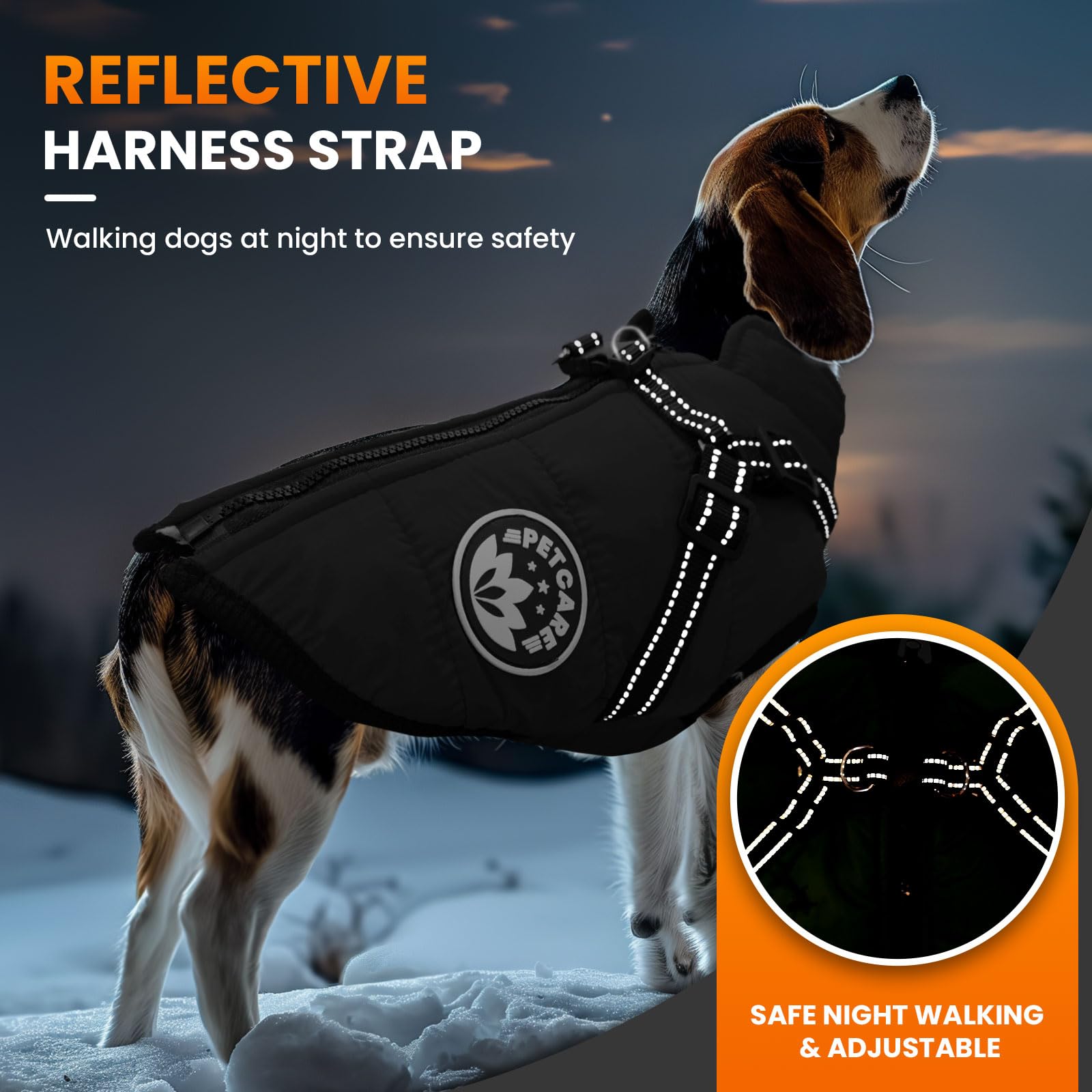 PETCARE Reflective winter jacket improves visibility during night walks.