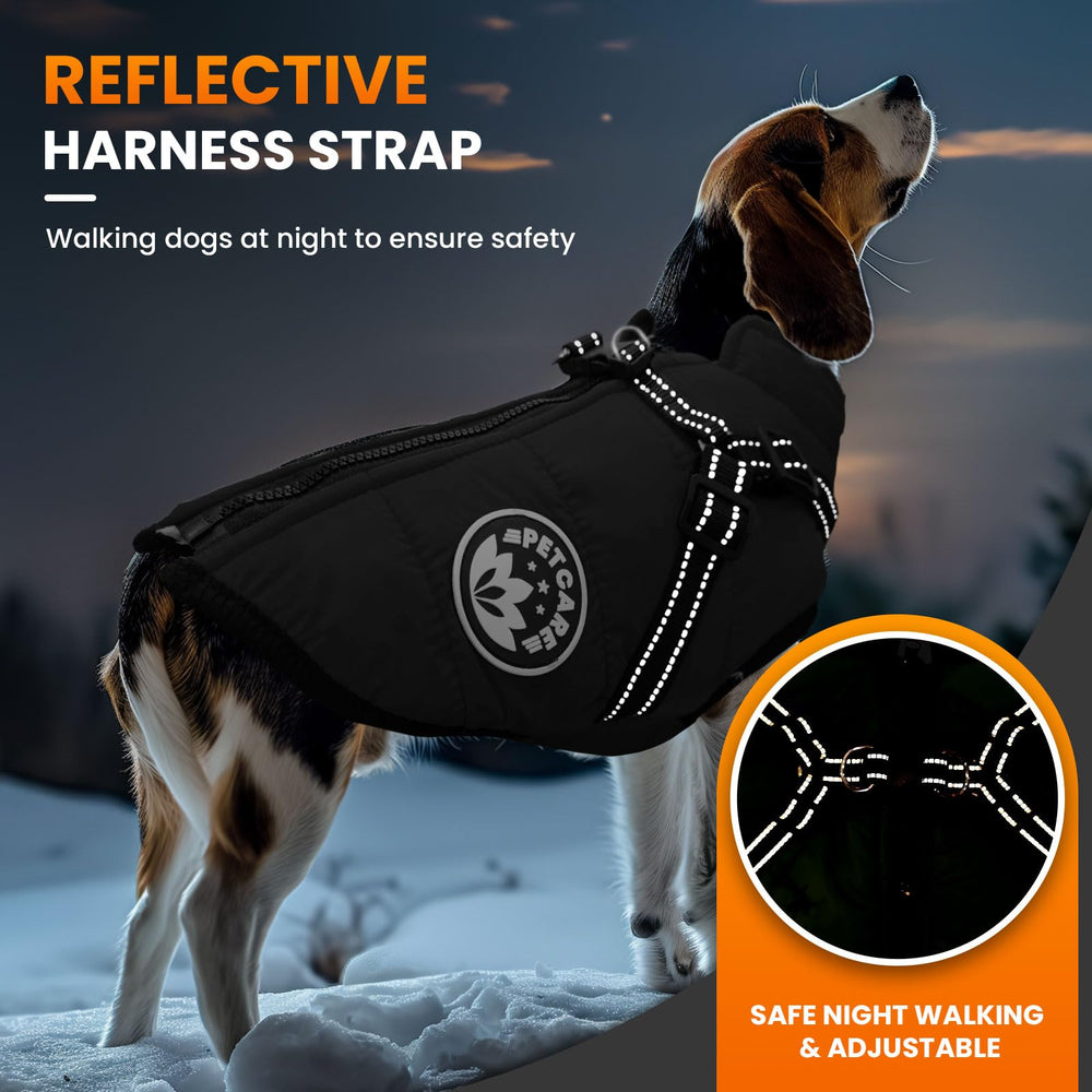PETCARE Reflective winter jacket improves visibility during night walks.