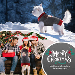 Petcare Reindeer Christmas Dog Sweater Gray back — festive style from every angle.