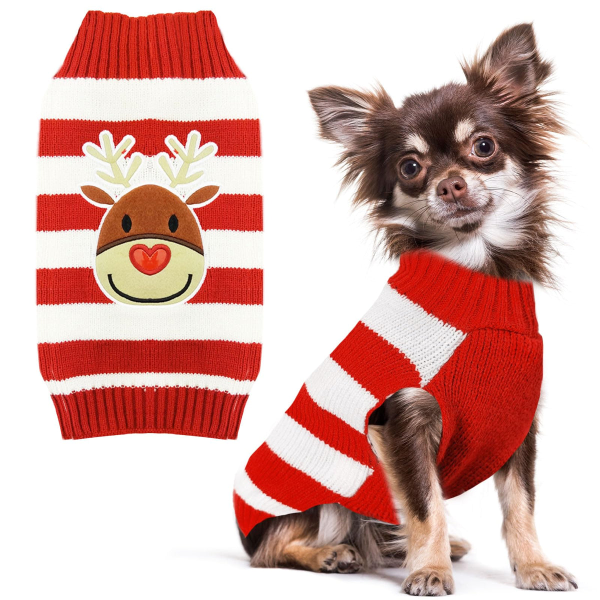 Petcare Reindeer Christmas dog sweater red-striped worn by a small dog for festive photos