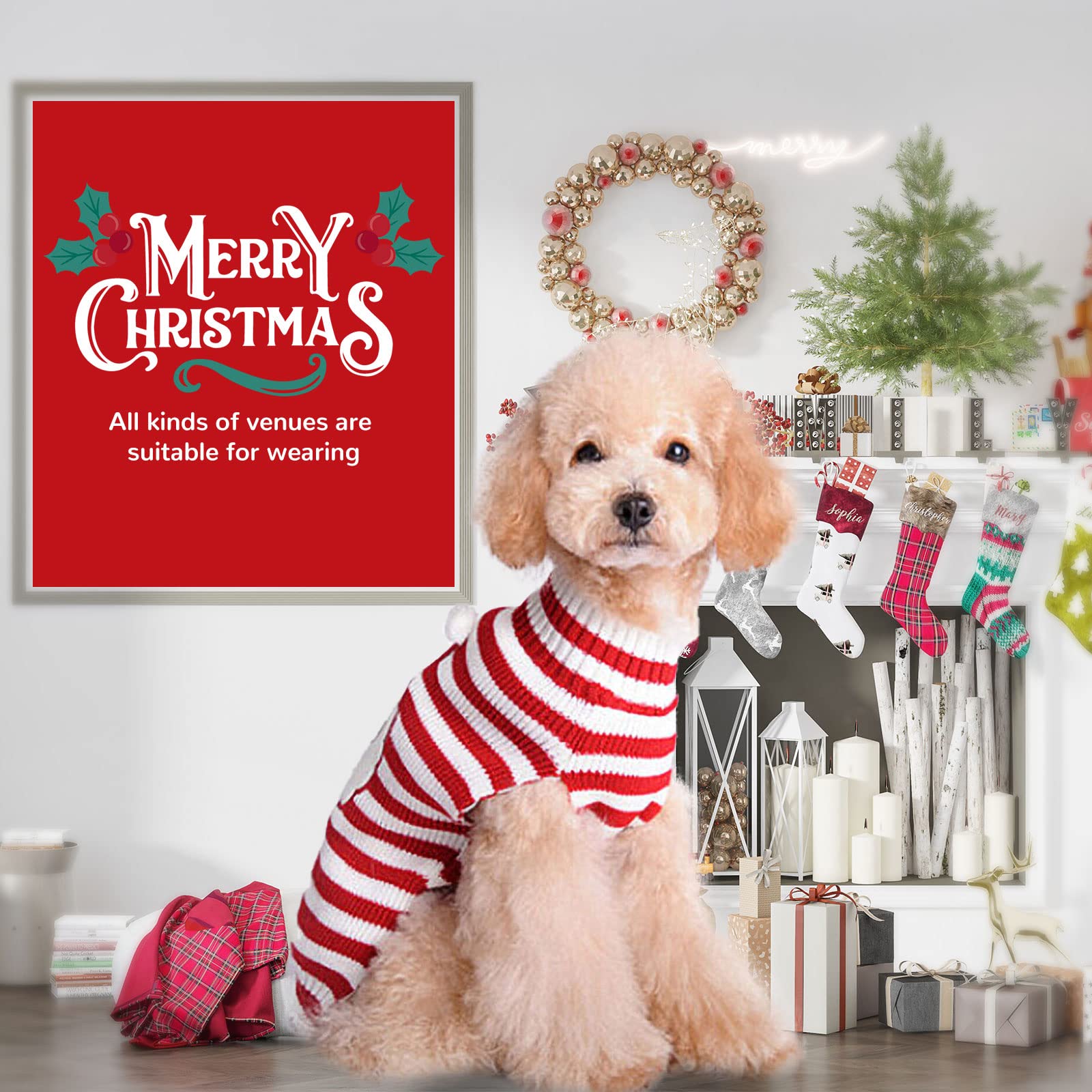 PETCARE Santa Dog Sweater cat wearing for holiday dress up.