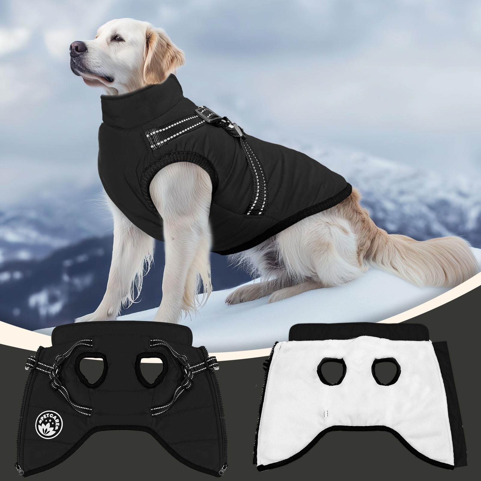PETCARE Size guide helps measure chest girth and back length for better fit.