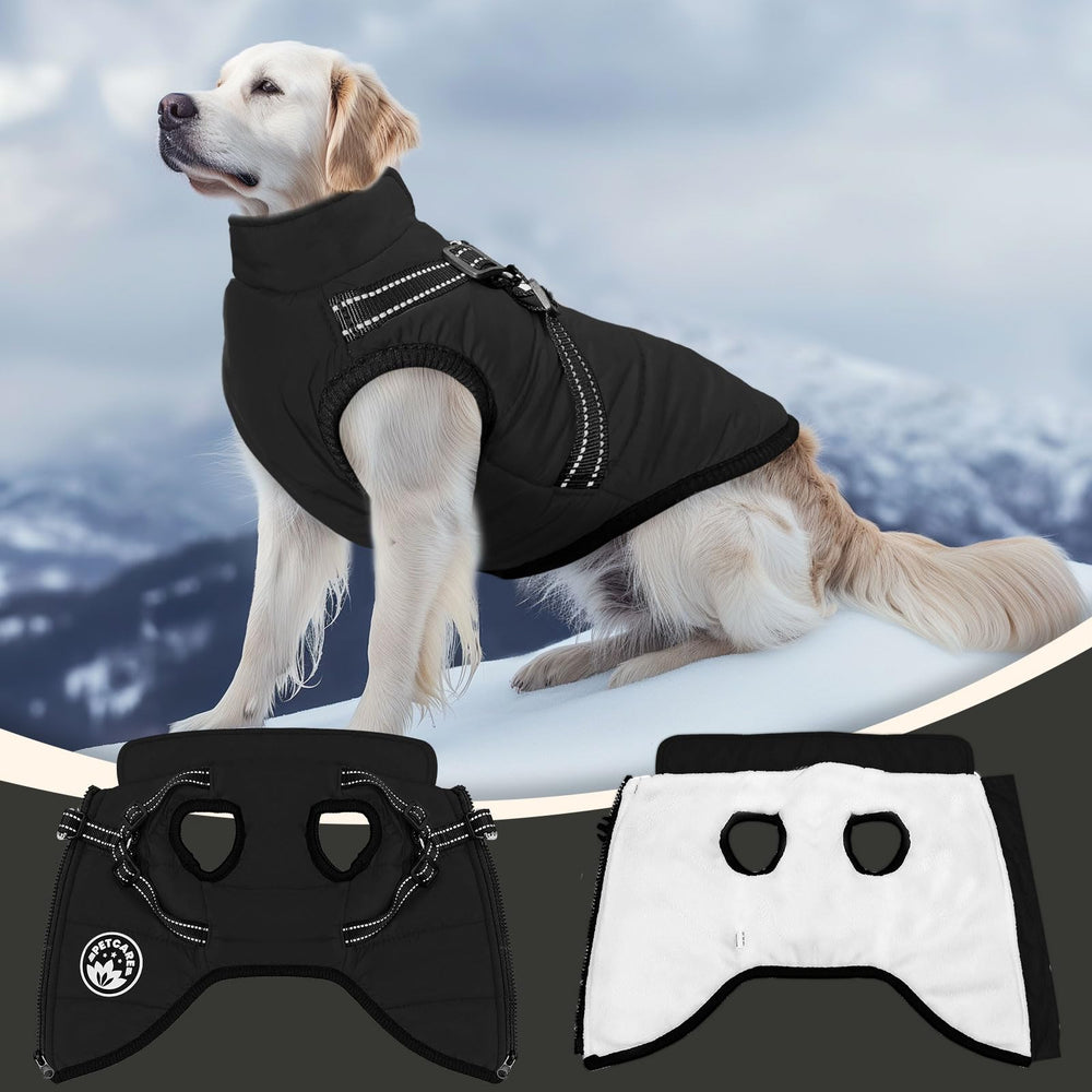 PETCARE Size guide helps measure chest girth and back length for better fit.