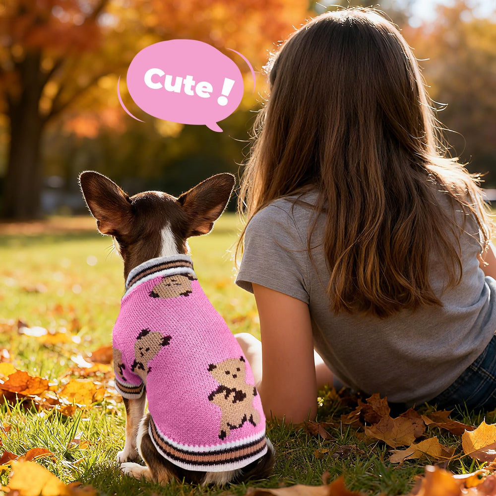 Petcare bear-pattern sweater adds cute, eye-catching style.