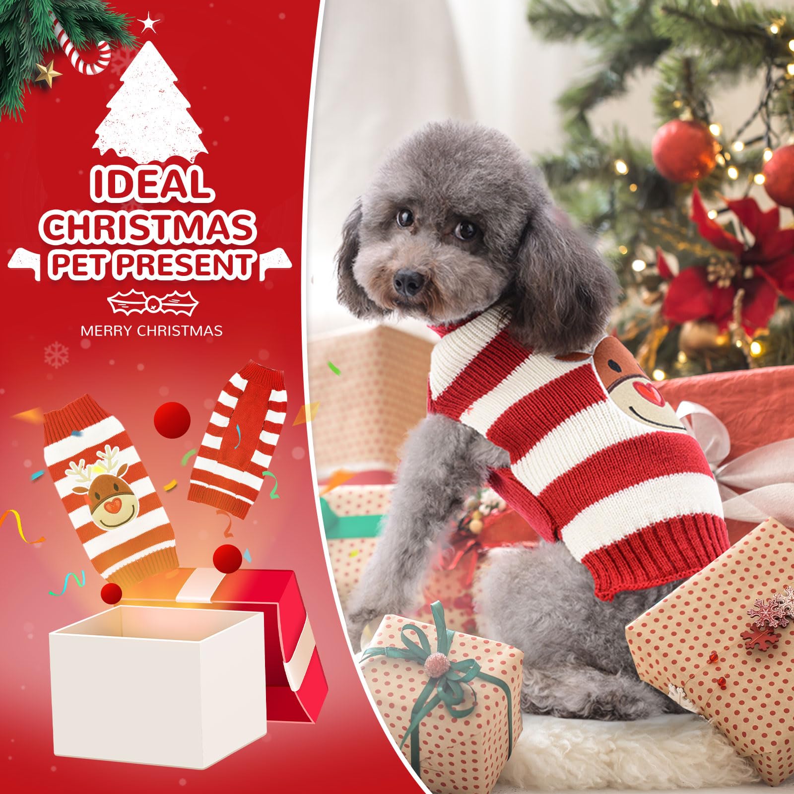 Petcare wide size range fits small to large dog and cat breeds