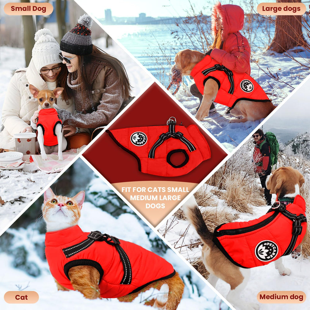 Petcare coat in five colors showcased for fashionable cold-weather wear.