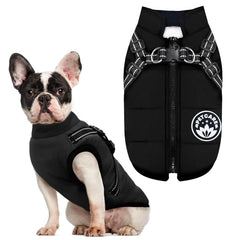 Petcare Winter Dog Coat with Harness built-in, front view showing secure fit for winter walks.