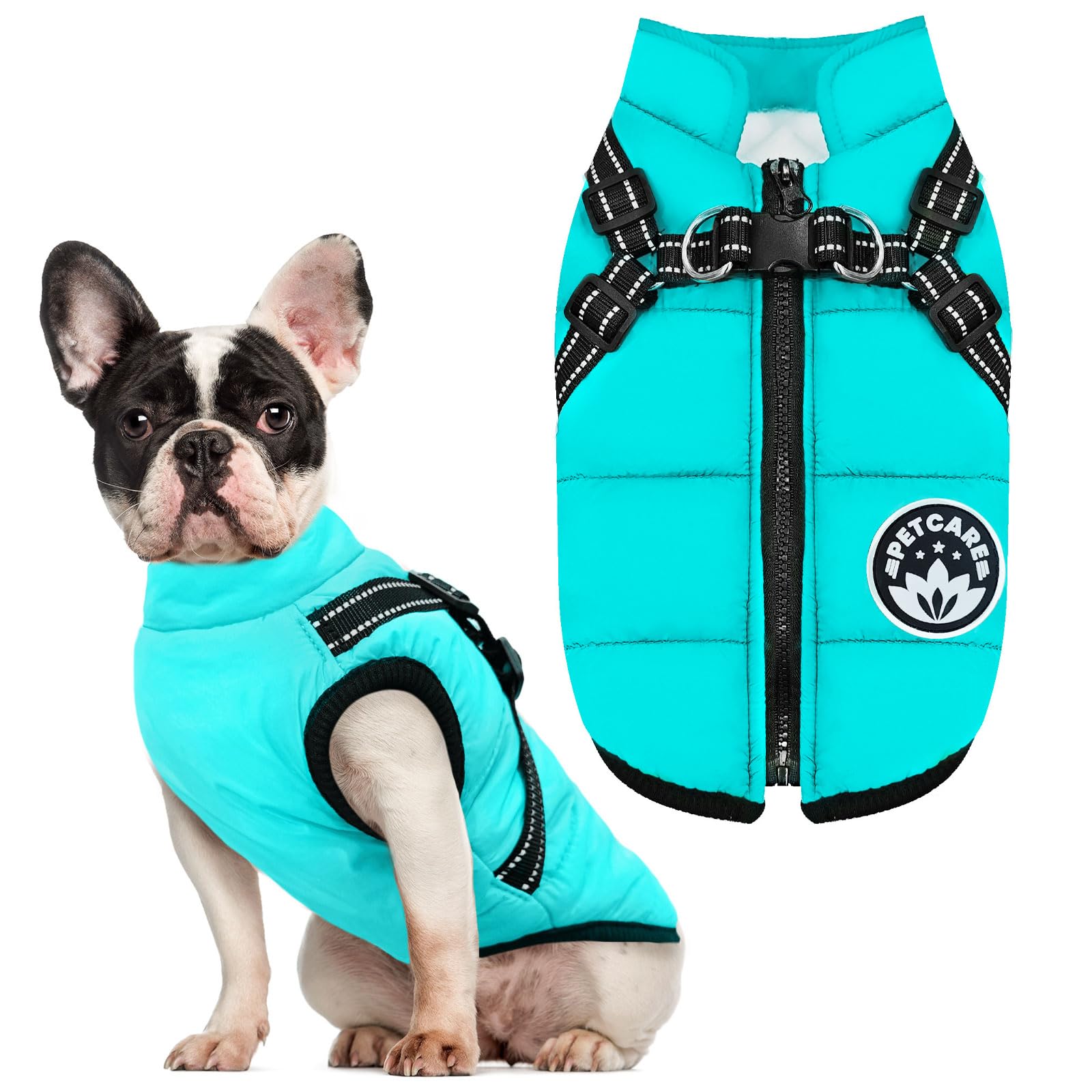 Petcare Winter Dog Coat with harness built-in showcases waterproof protection for winter walks.