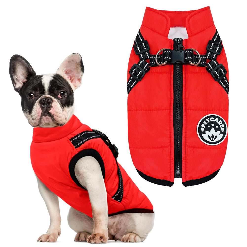 Petcare Winter Dog Coat with Harness built-in worn during winter walks for warmth and safety