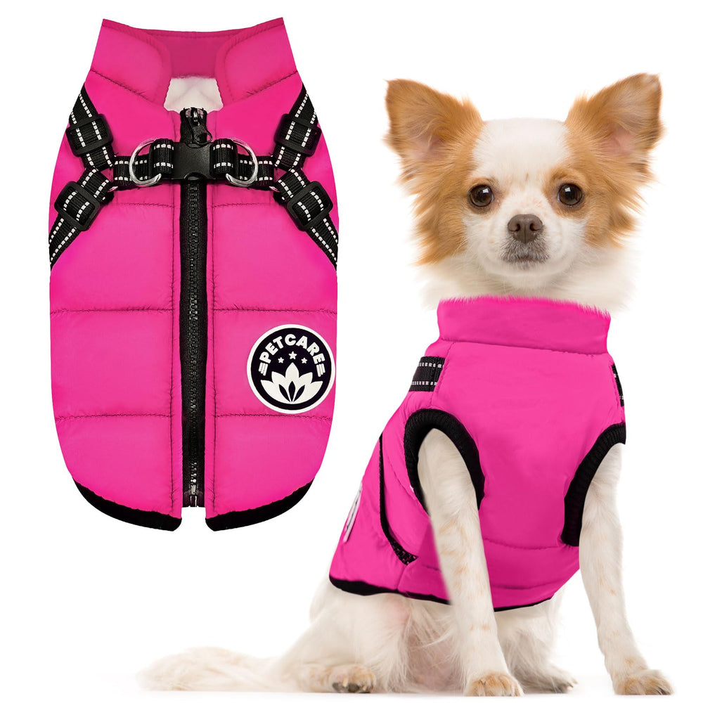 PetCare Winter Coat—suitable for walks, travel, and snowy adventures.