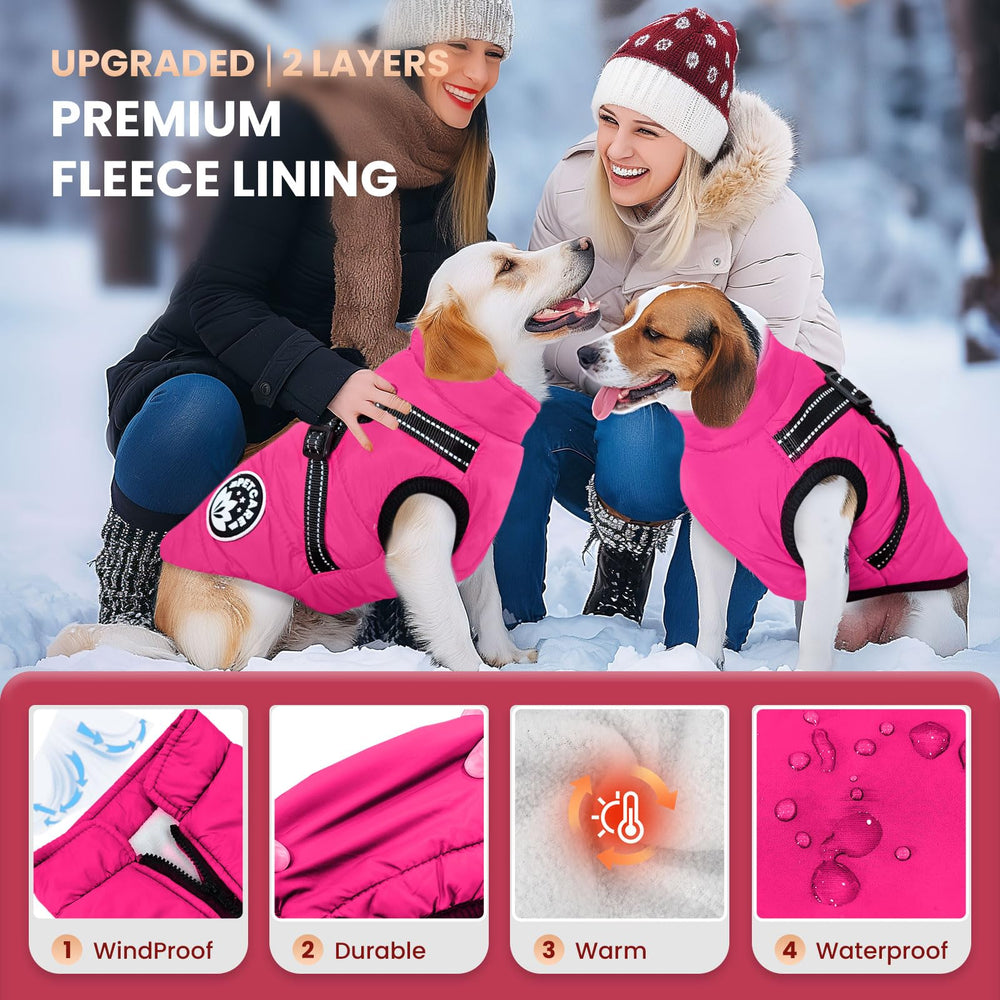 PetCare Winter Coat waterproof fabric keeps your dog dry on rainy hikes.