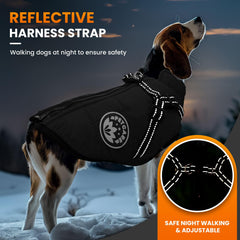 Petcare jacket with back zipper for easy on off