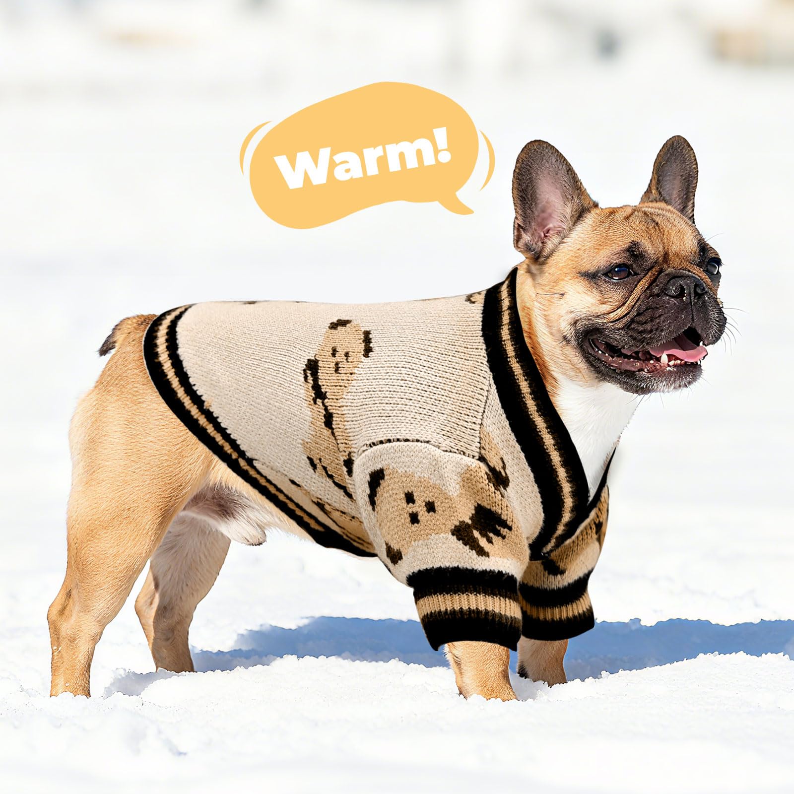 PETCARE winter sweater makes a thoughtful gift for pet lovers
