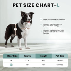 PETCOMING closing panel shows secure access control for pet management.