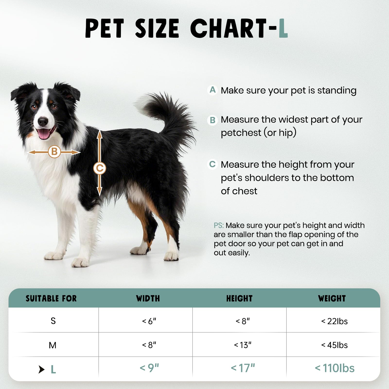 PETCOMING installation guide video helps you set up quickly and confidently