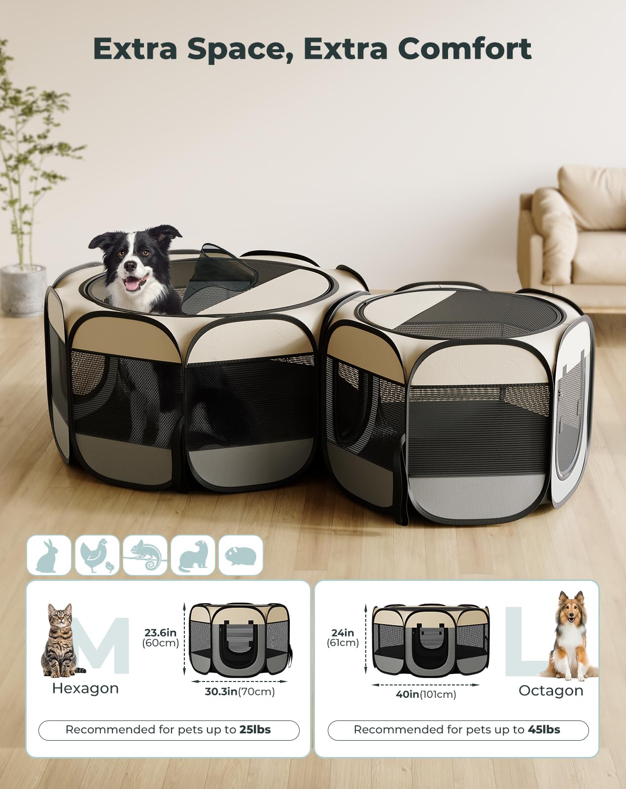 Petcozife two-room configuration demonstrates flexible layout for rest and feeding