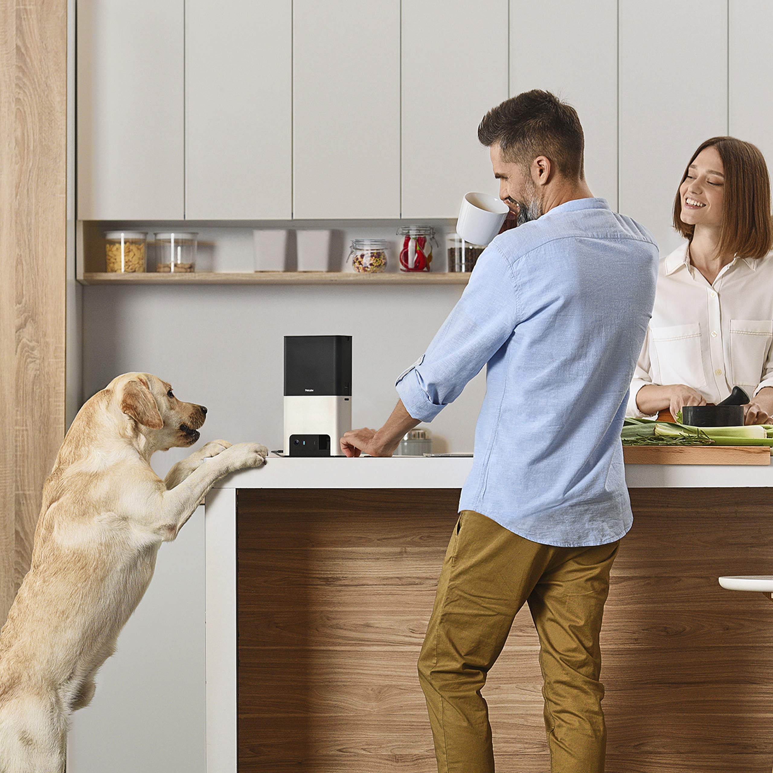 Petcube Bites 2 4 mic array enables clear two way communication.