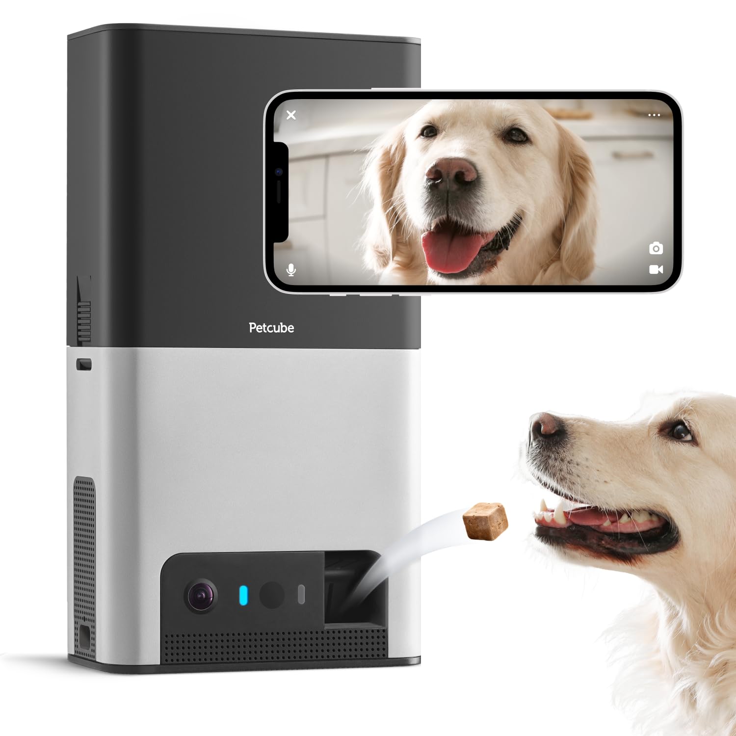 Petcube Bites 2 front view shows comprehensive pet monitoring in one glance.
