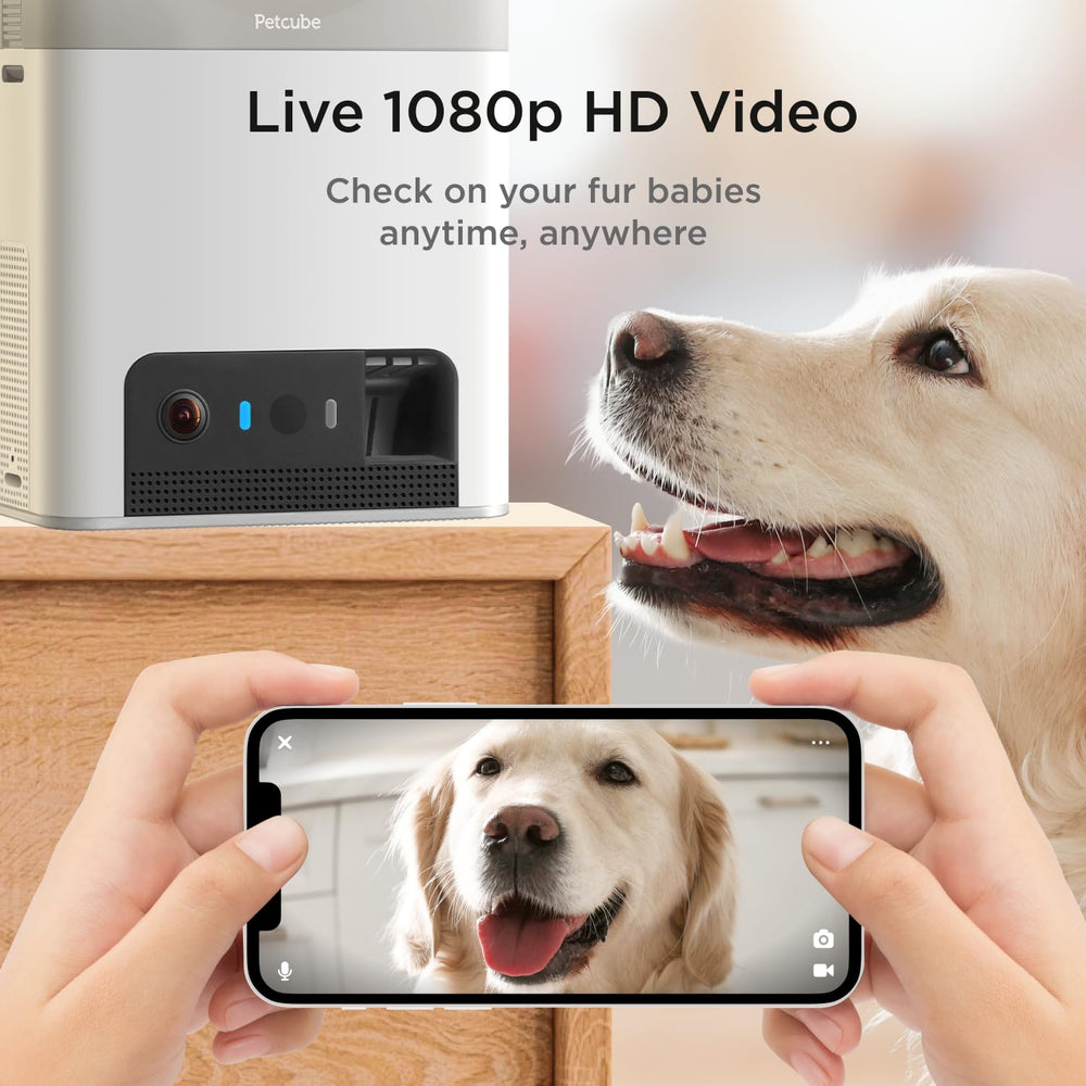 Petcube Bites 2 Lite live 1080p video for quick updates