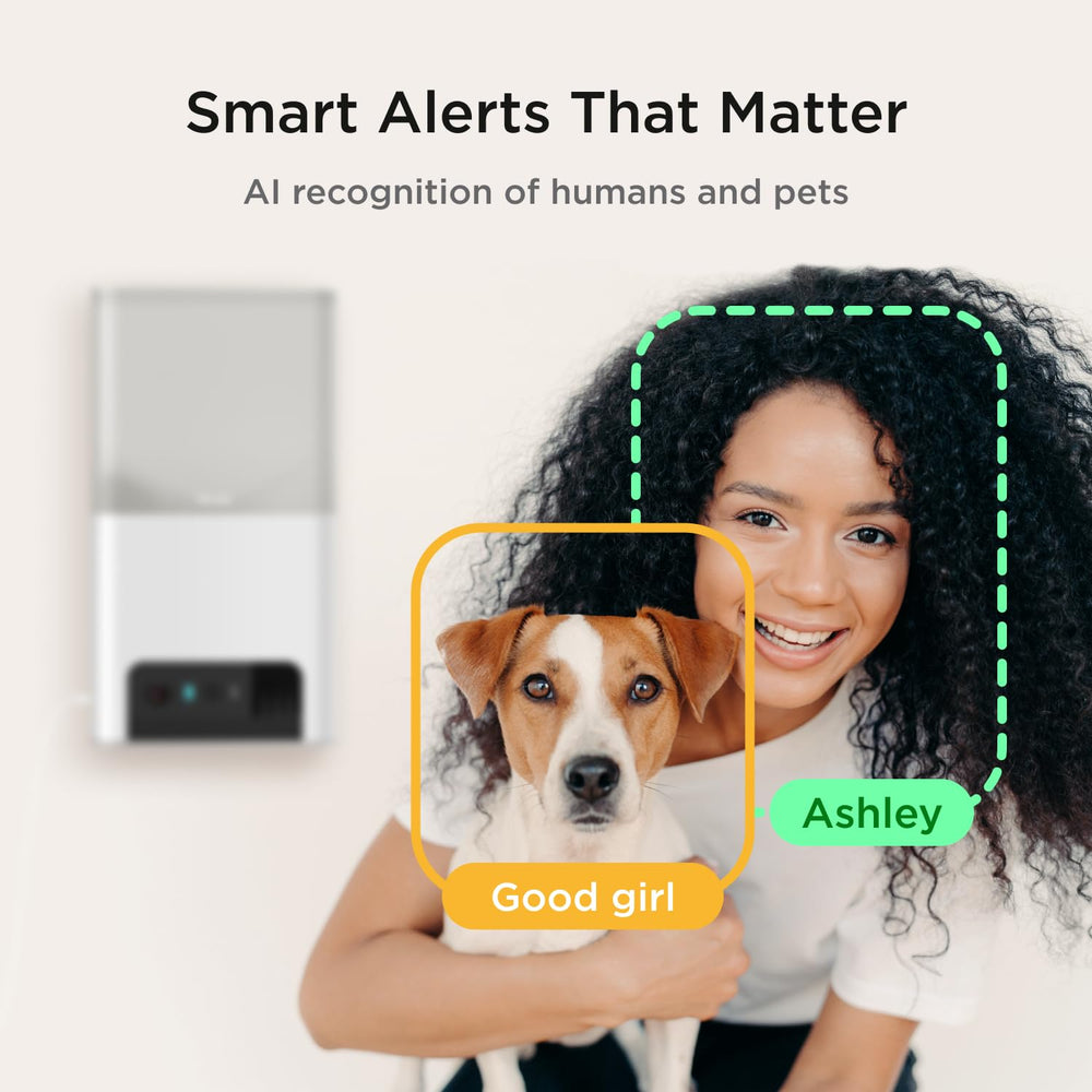 Petcube Bites 2 Lite motion and sound alerts keep you informed