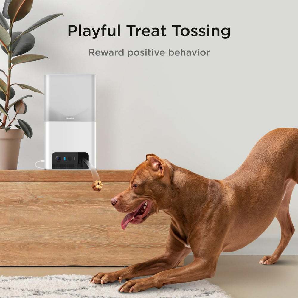 Petcube Bites 2 Lite night vision for after-dark monitoring