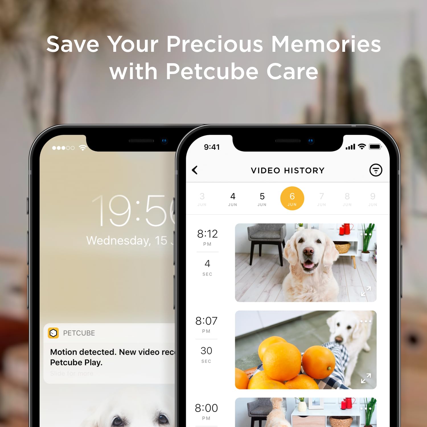 Petcube Bites 2 Lite setup with app and 2.4 GHz WiFi