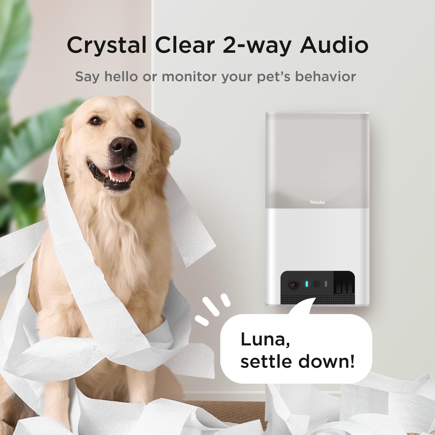 Petcube Bites 2 Lite treat dispensing for remote rewards