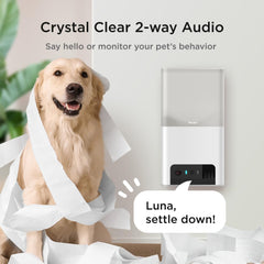 Petcube Bites 2 Lite treat dispensing for remote rewards