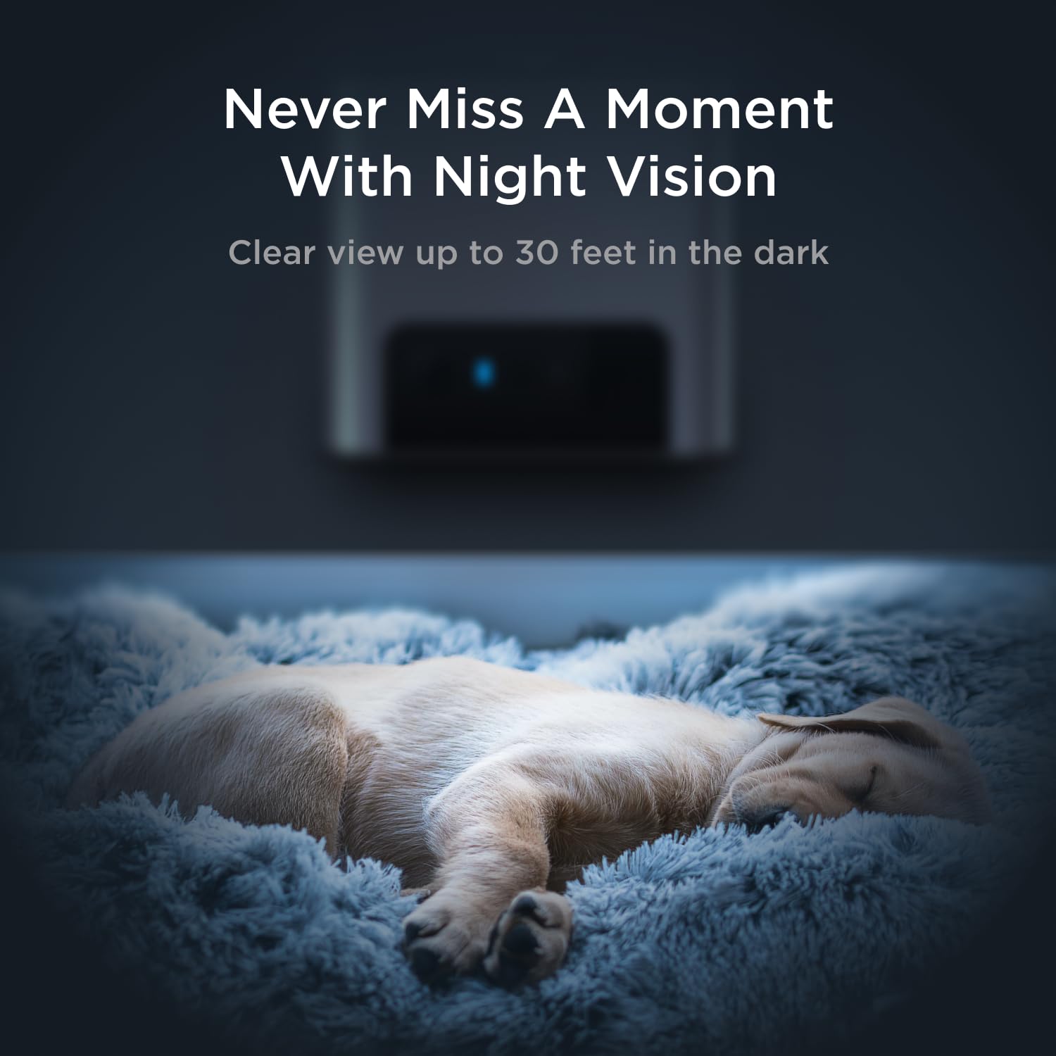 Petcube Bites 2 Lite two-way audio for real-time conversations