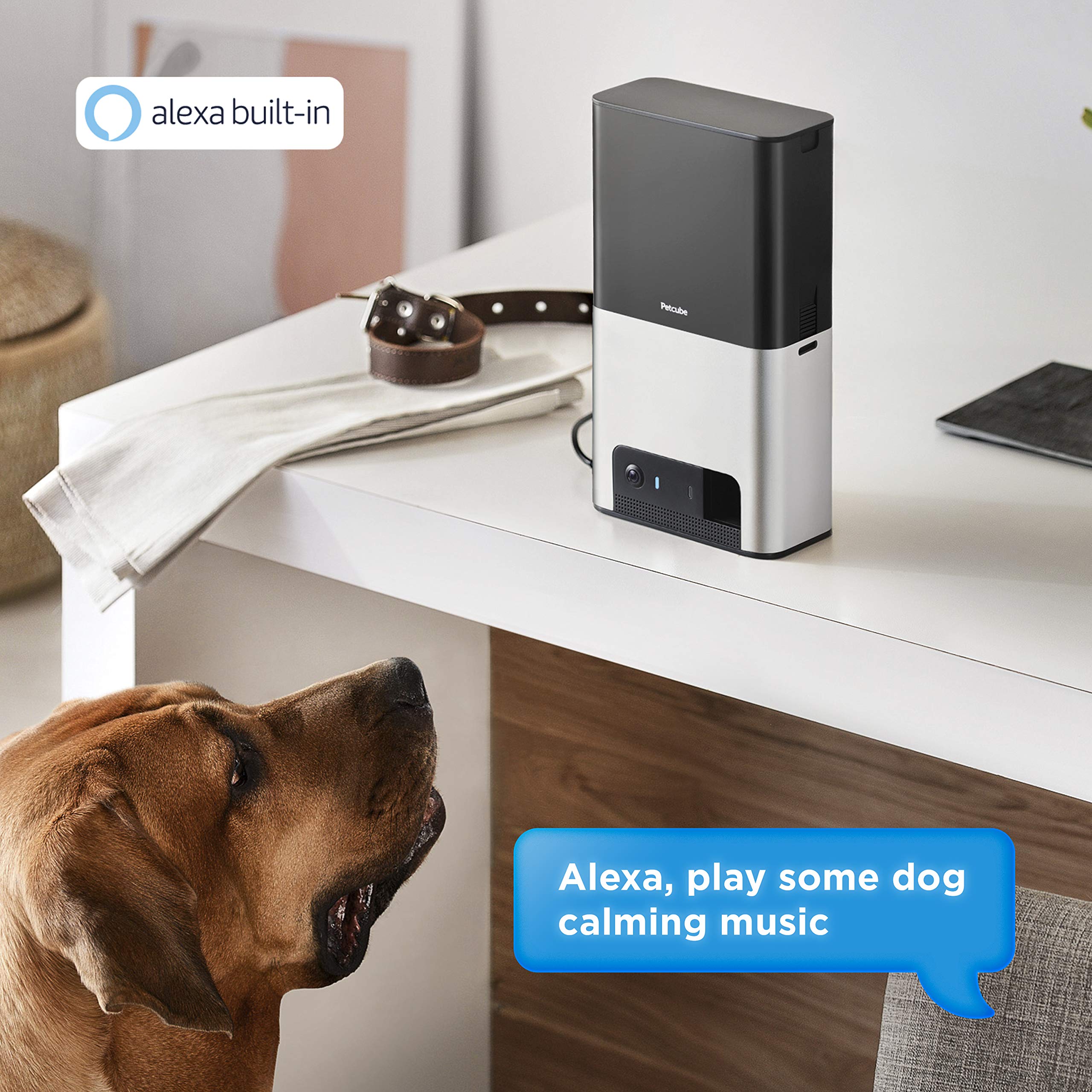 Petcube Bites 2 treat dispensing area highlights remote rewards during play.