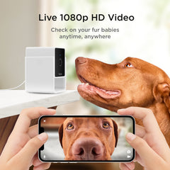 Petcube Cam night vision shows clear footage up to 30 feet in low light.