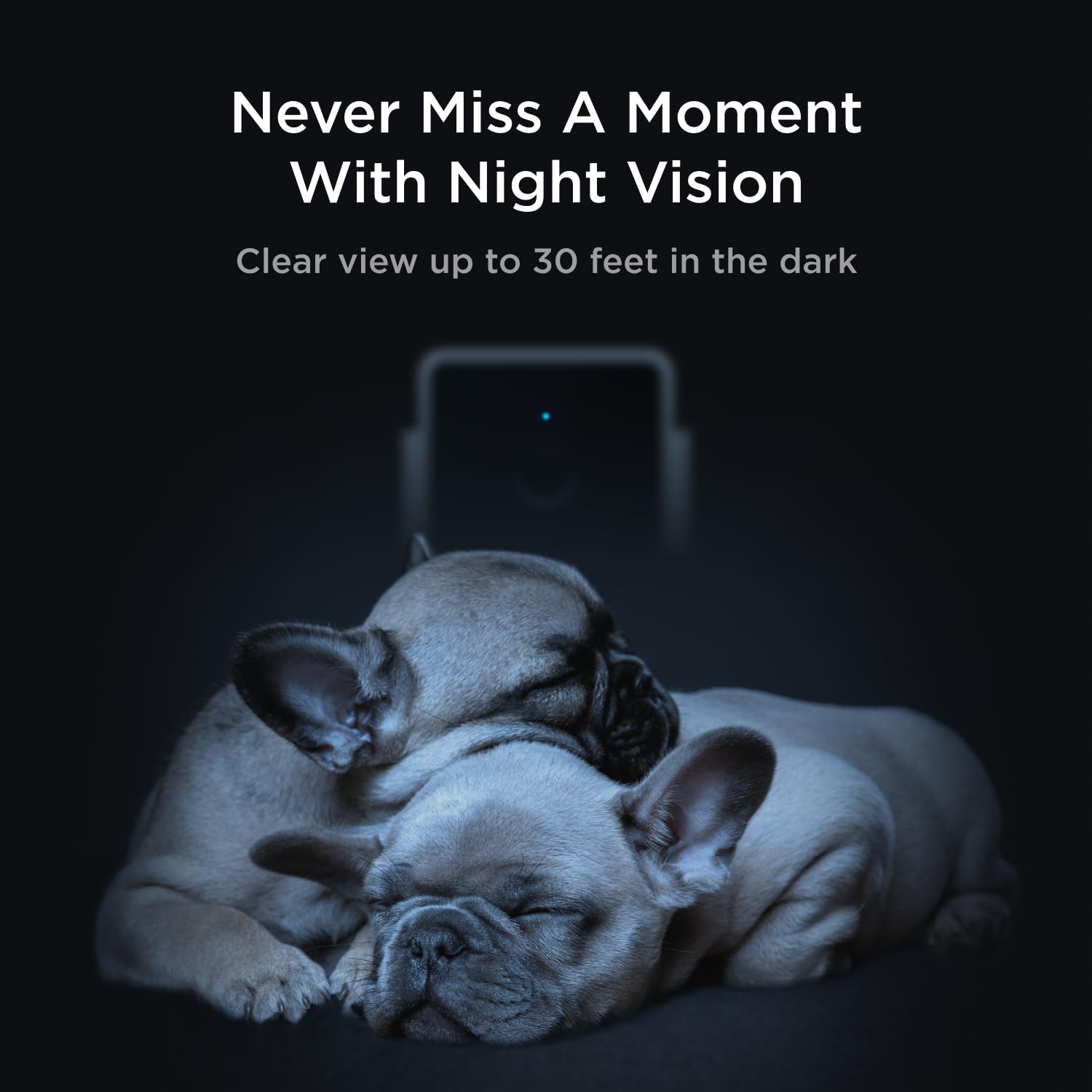 Petcube Cam Pack 3 AI alerts spot human or pet activity for smart notifications.