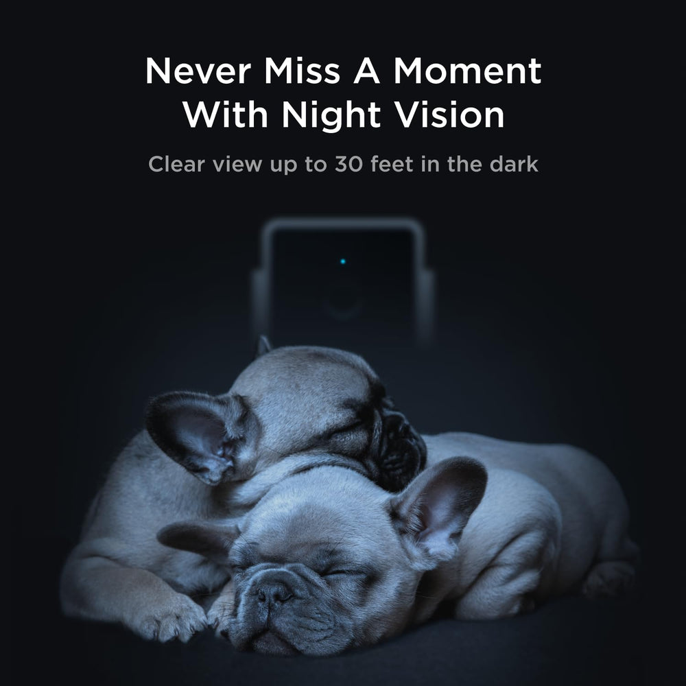 Petcube Cam Pack 3 AI alerts spot human or pet activity for smart notifications.