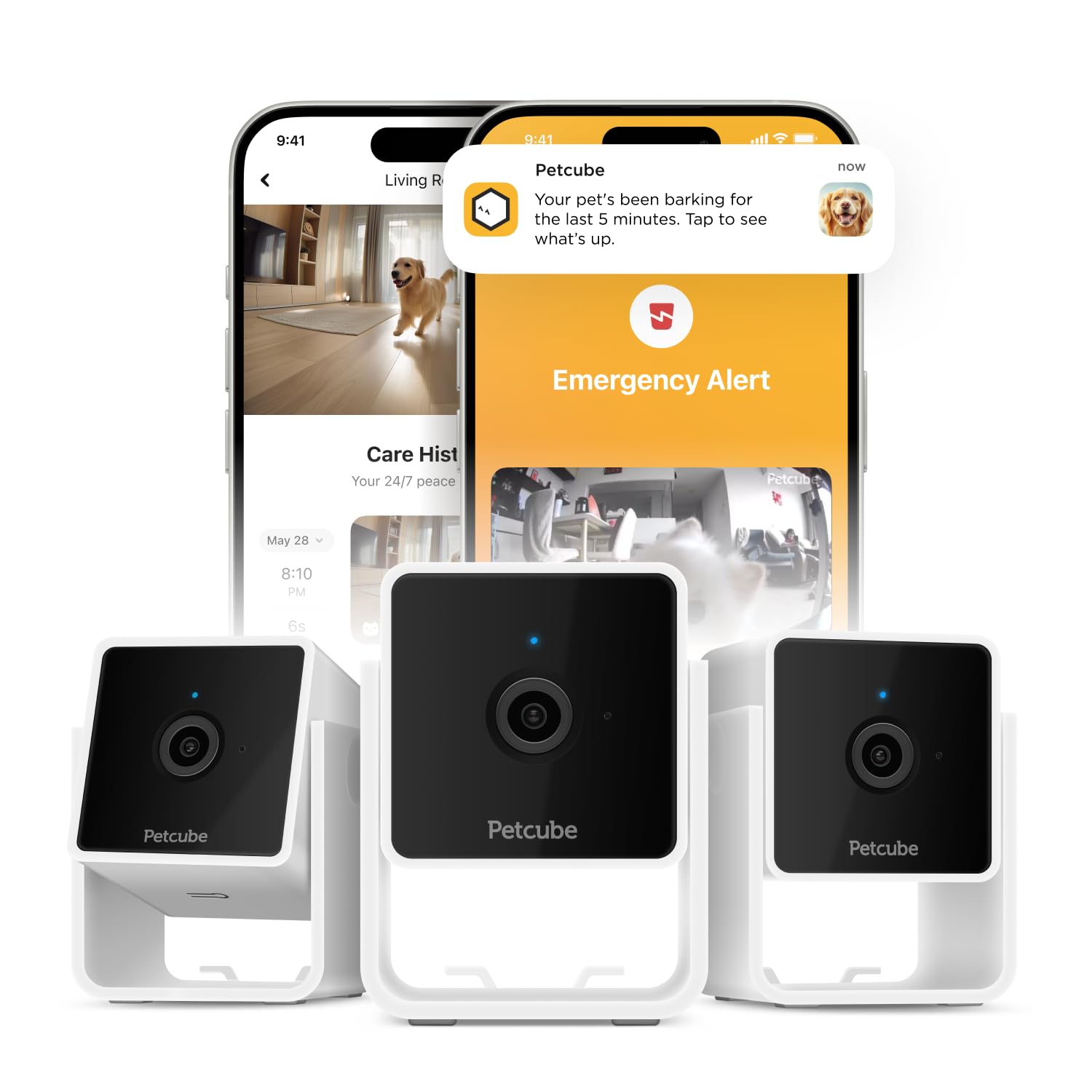 Petcube Cam Pack 3 front-view captures wide room coverage for easy pet check-ins.