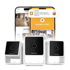 Petcube Cam Pack 3 front-view captures wide room coverage for easy pet check-ins.