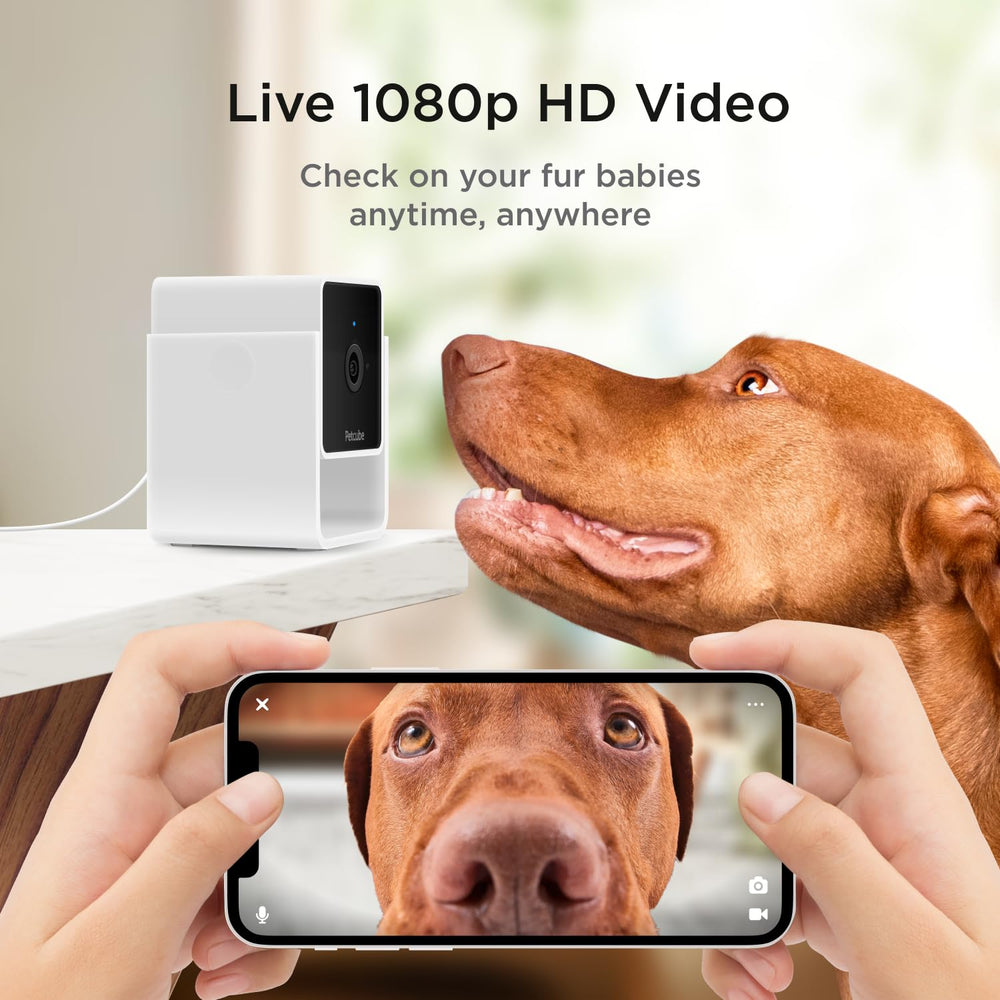 Petcube Cam Pack 3 night-vision offers clear viewing in low light conditions.