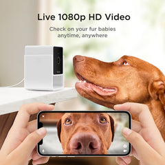 Petcube Cam Pack 3 night-vision offers clear viewing in low light conditions.